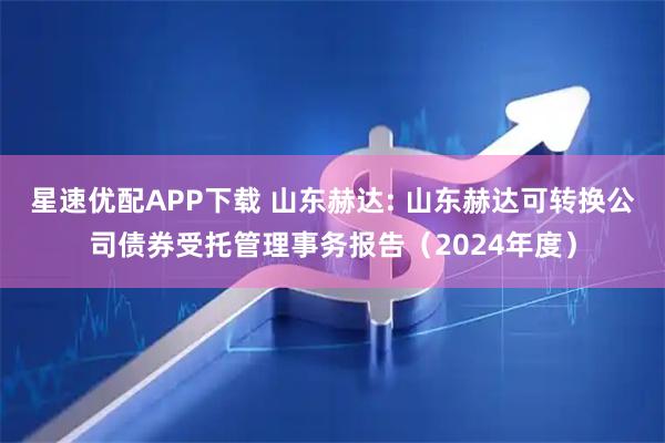 星速优配APP下载 山东赫达: 山东赫达可转换公司债券受托管理事务报告（2024年度）