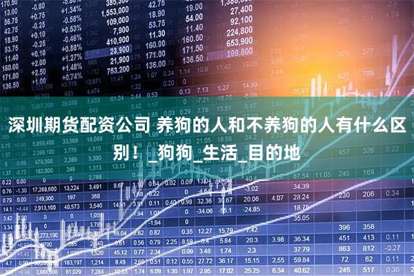 深圳期货配资公司 养狗的人和不养狗的人有什么区别！_狗狗_生活_目的地