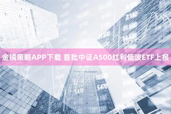 金橘策略APP下载 首批中证A500红利低波ETF上报